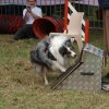 foire-haricots 2011-09-17et18